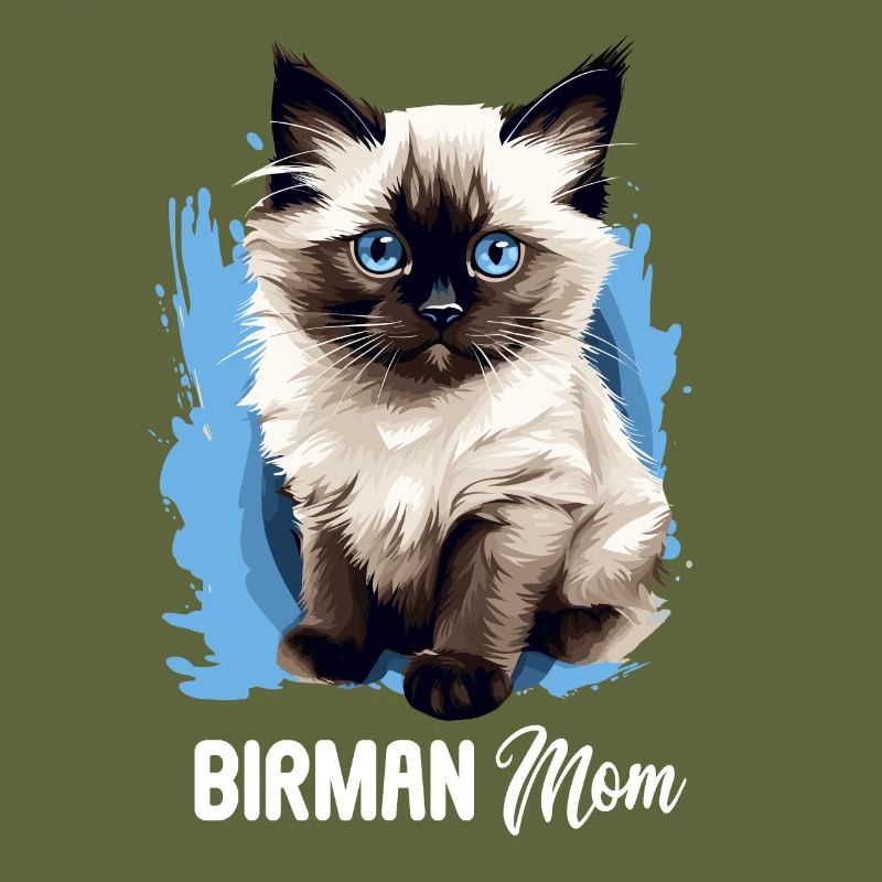 Birman Cat Birma Katze