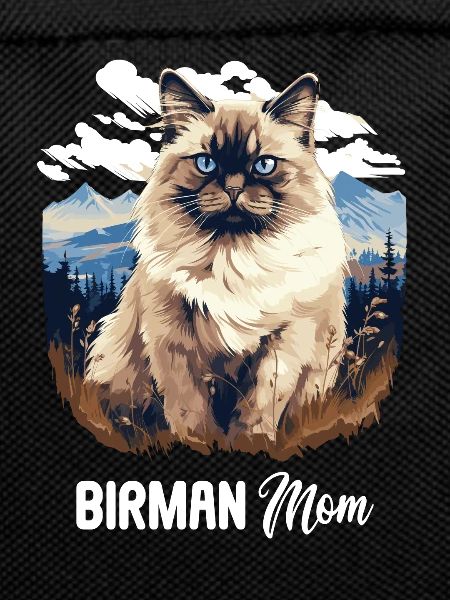 Birman Cat Birma Katze