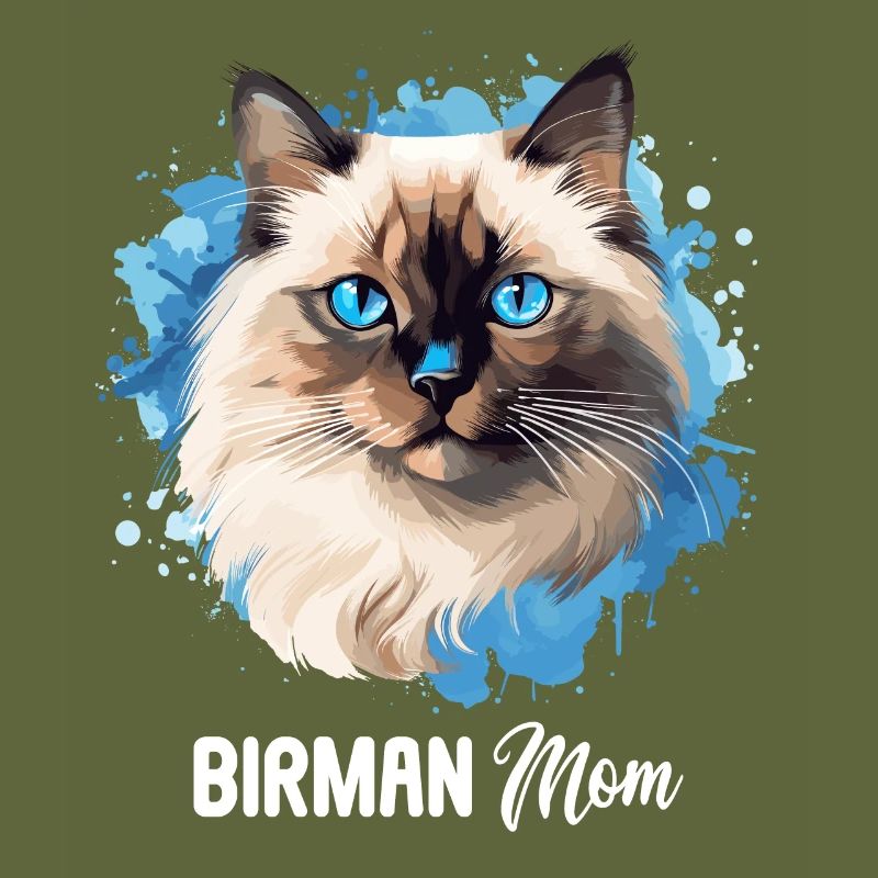 Birman Cat Birma Katze