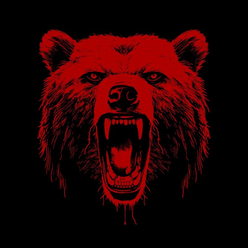 Bear Grizzly Bear