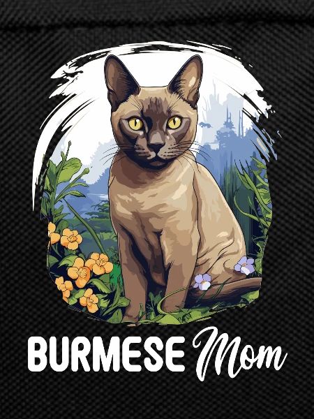 Burmese Cat Burma Katze