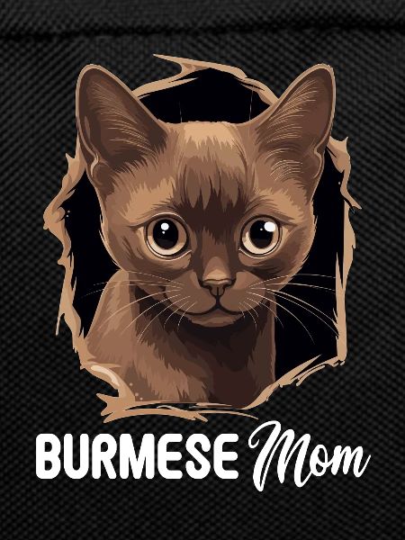 Burmese Cat Burma Katze