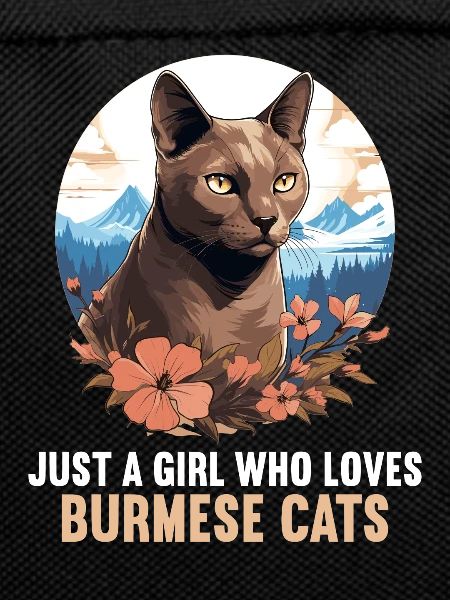 Burmese Cat Burma Katze