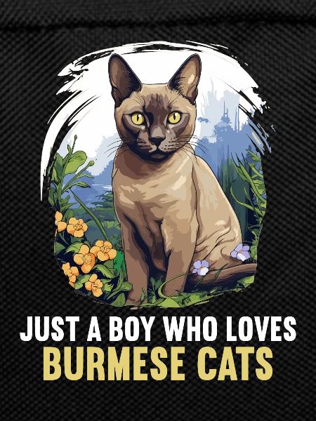 Burmese Cat Burma Katze
