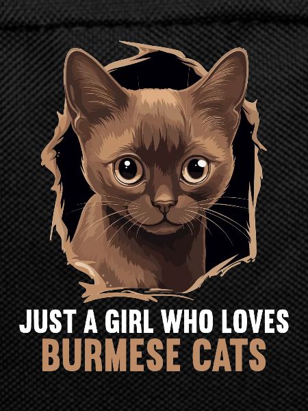 Burmese Cat Burma Katze