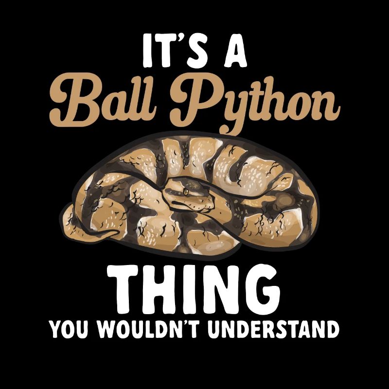Ball Python Schlange Königspython