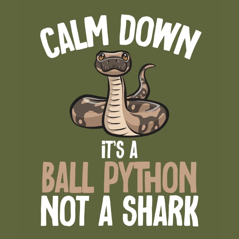 Ball Python Schlange Königspython