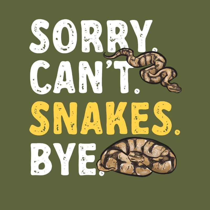 Ball Python Schlange Königspython