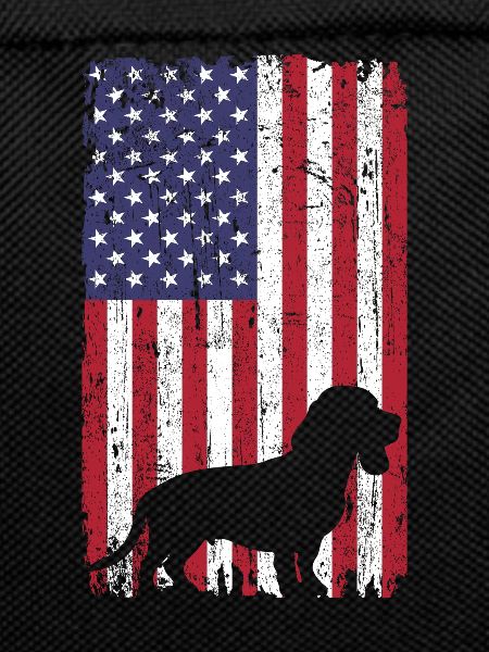 Beagle dog with USA flag