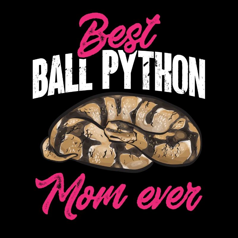 Ball Python Schlange Königspython