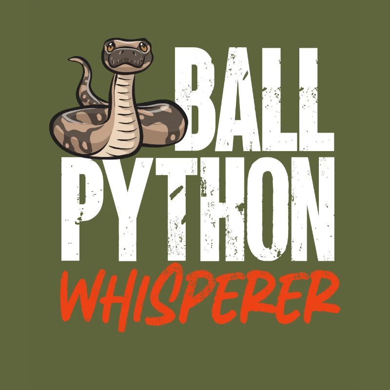 Ball Python Schlange Königspython