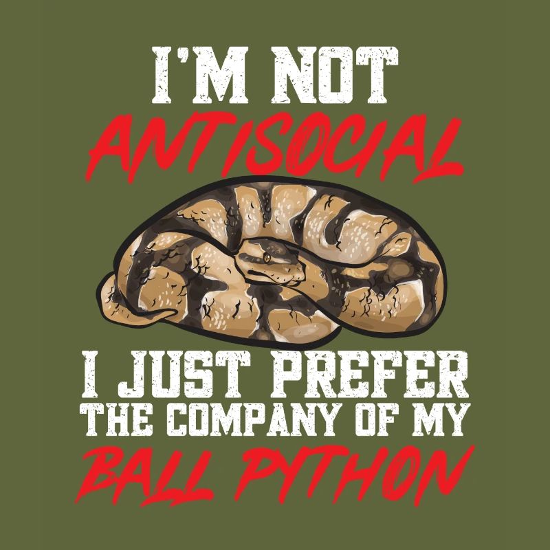 Ball Python Schlange Königspython