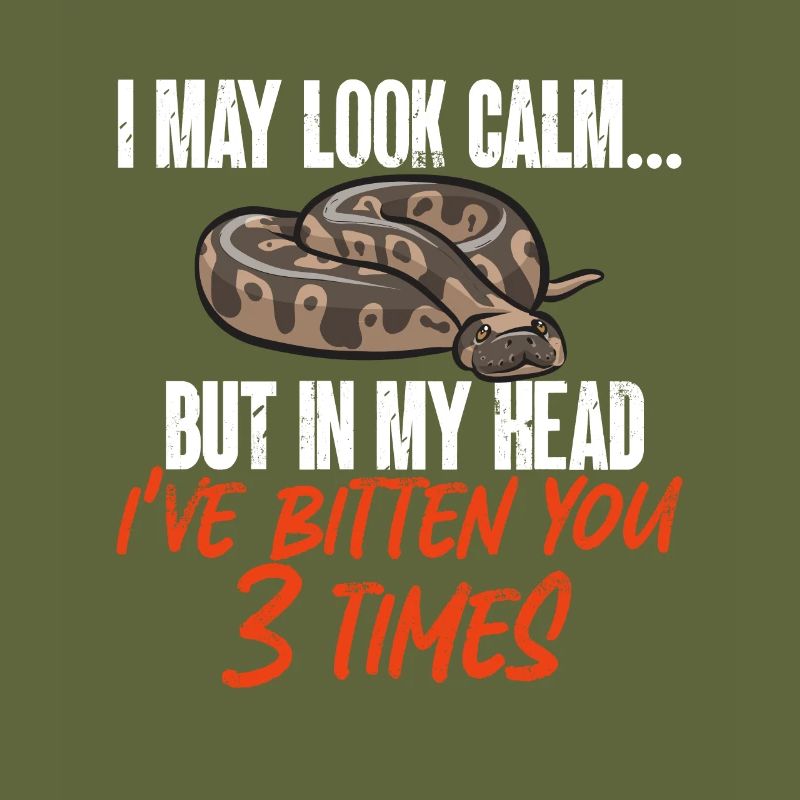 Ball Python Snake King Python