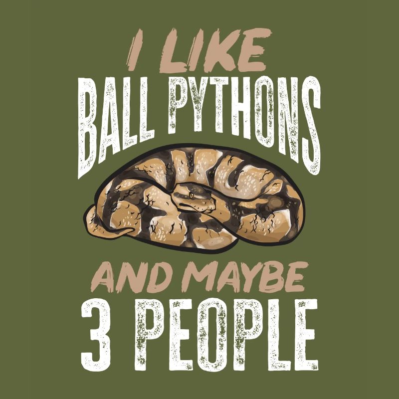 Ball Python Schlange Königspython