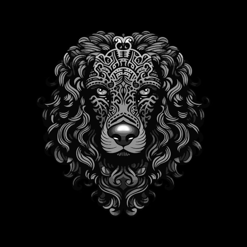 Poodle Dog Portrait