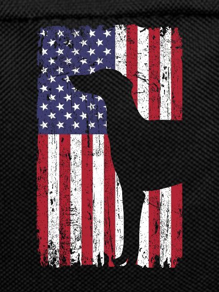 Greyhound dog with USA flag