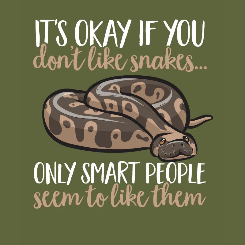 Ball Python Schlange Königspython