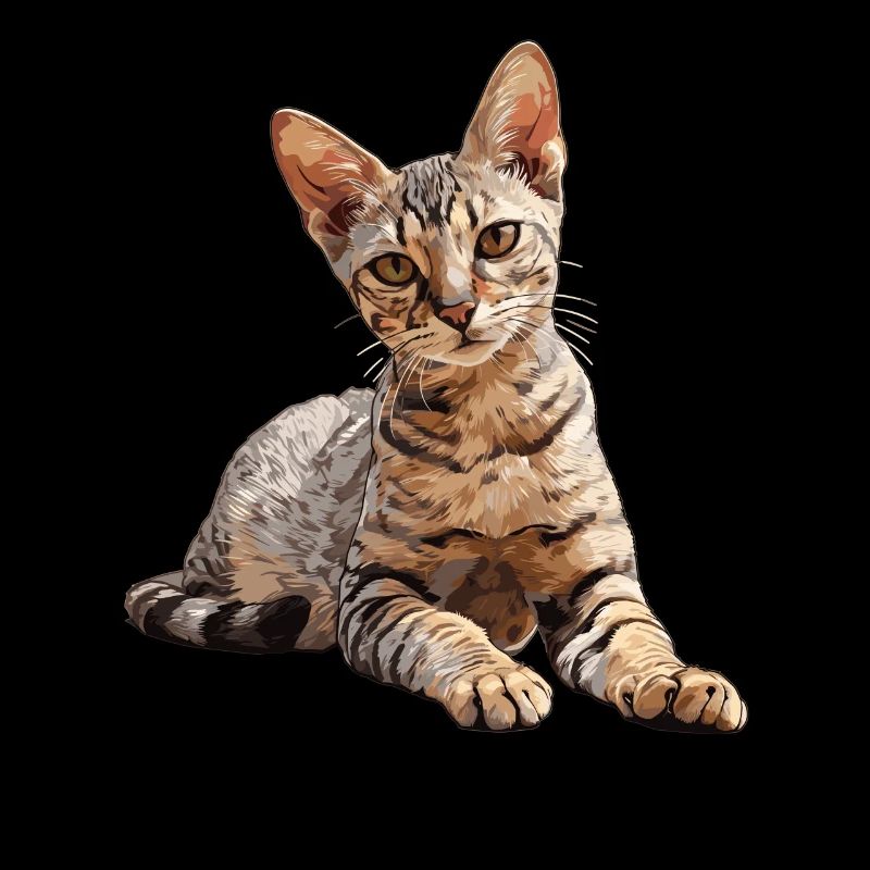 Mau égyptien Chaton Chat égyptien Mau