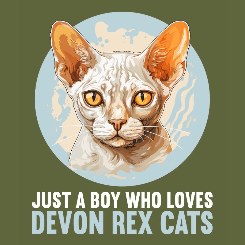 Devon Rex Kitten Devon Rex Cat