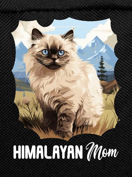 Himalayan Cat Colourpoint Katze