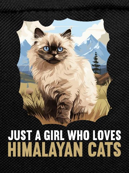 Himalayan Cat Colourpoint Katze