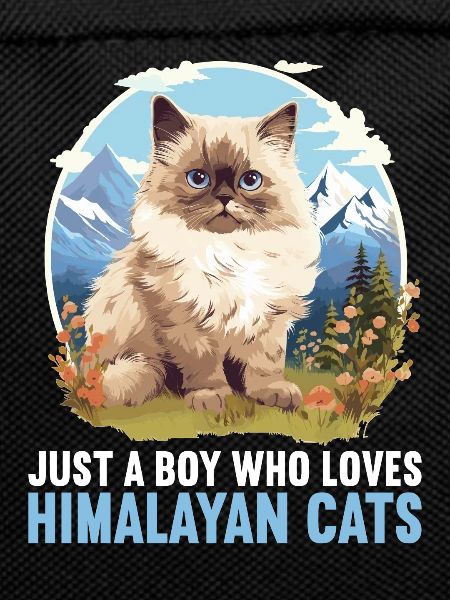 Himalayan Cat Colourpoint Katze