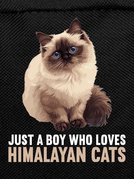 Himalayan Cat Colourpoint Katze
