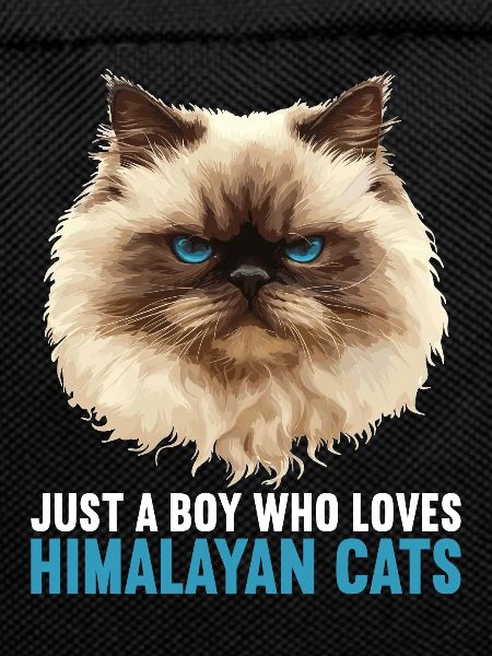 Himalayan Cat Colourpoint Katze