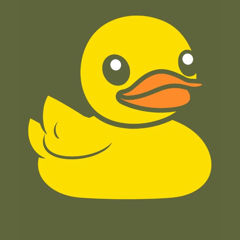 canard