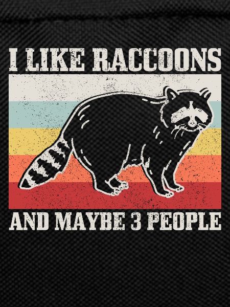 Raccoon Funny Gift