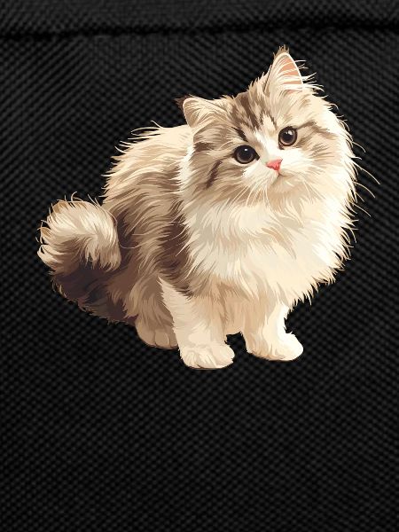 Ragamuffin Kitten Ragamuffin Cat