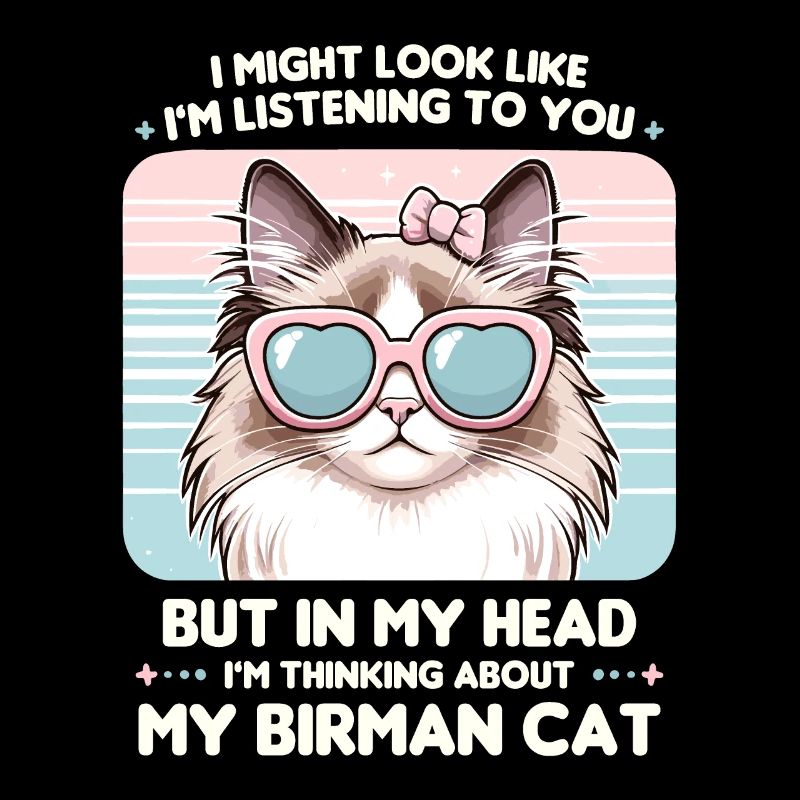 J’ai peut-être l’air de t’écouter, chat de Birmanie