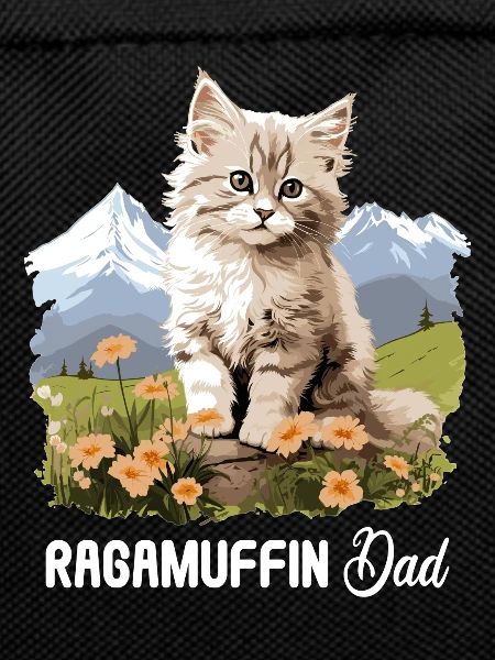 Ragamuffin Kitten Ragamuffin Cat
