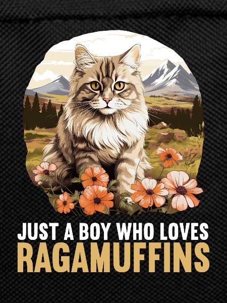 Ragamuffin Kitten Ragamuffin Cat