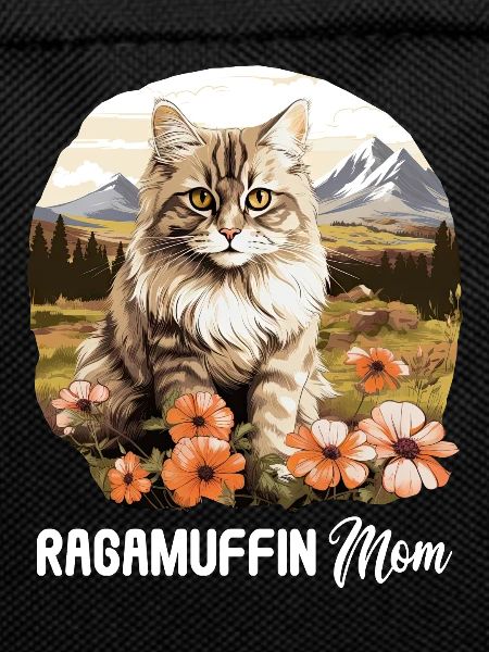 Ragamuffin Kitten Ragamuffin Cat