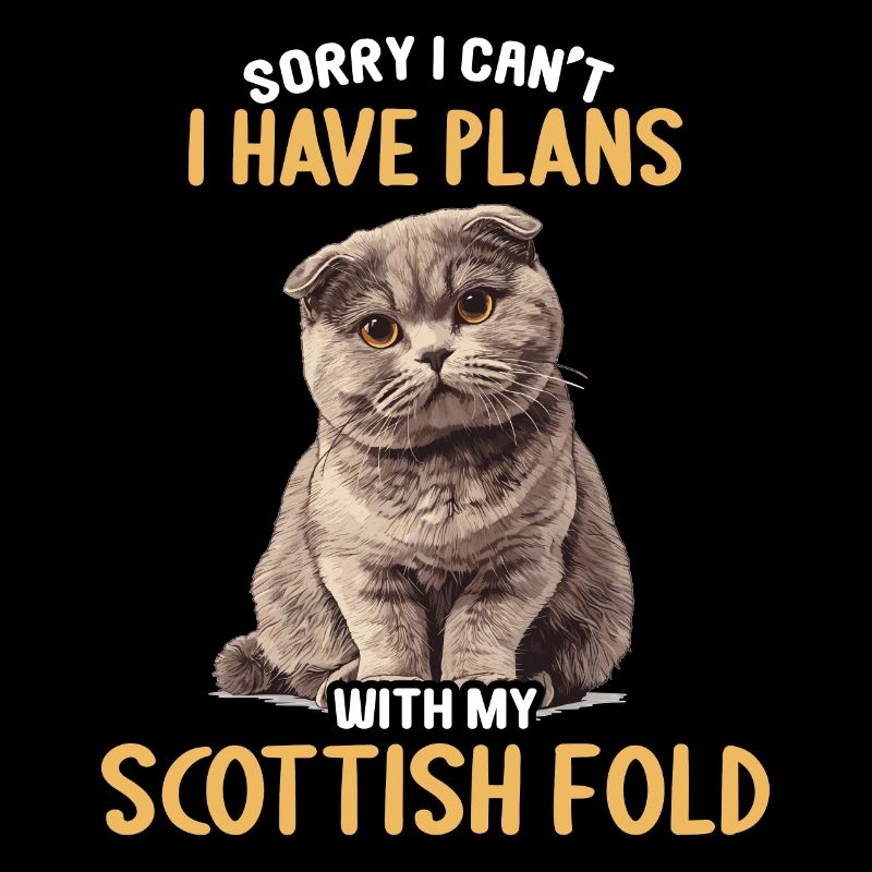 Scottish Fold Kitten Scottish Fold chat