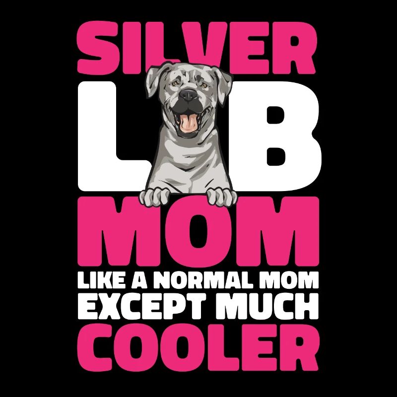 Silver Labrador Retriever Silver Lab