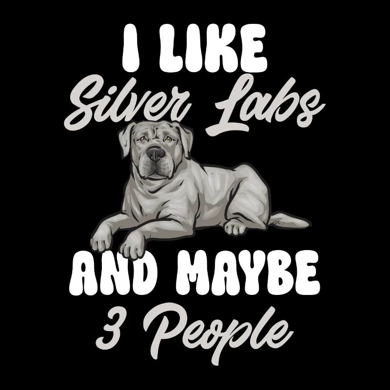 Silver Labrador Retriever Silver Lab