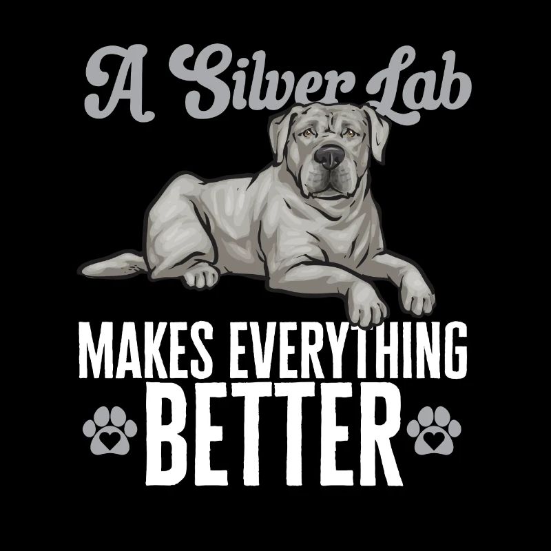Silver Labrador Retriever Silver Lab