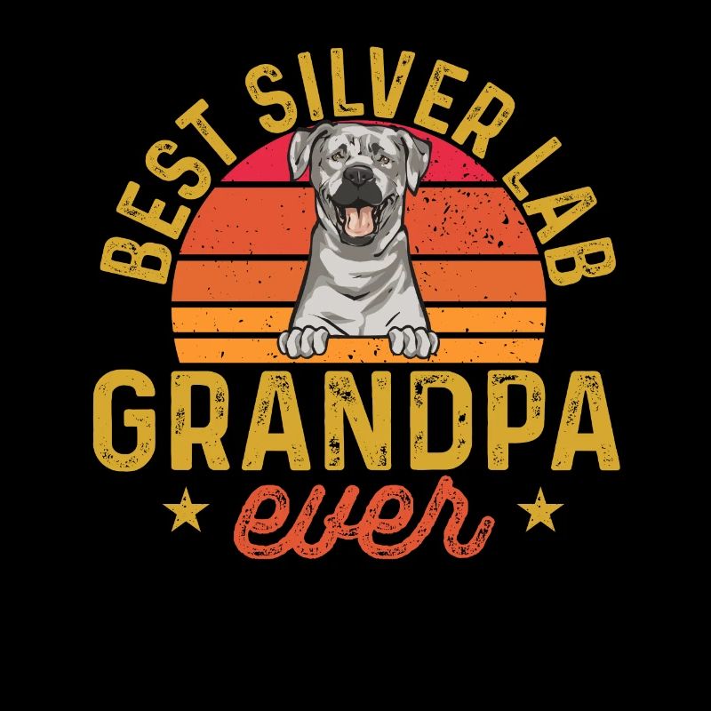 Silver Labrador Retriever Silver Lab