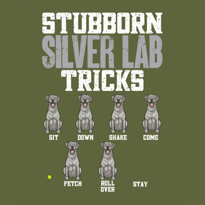 Silver Labrador Retriever Silver Lab