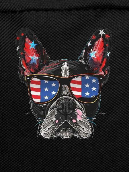 Boston Terrier with American Sunglasses