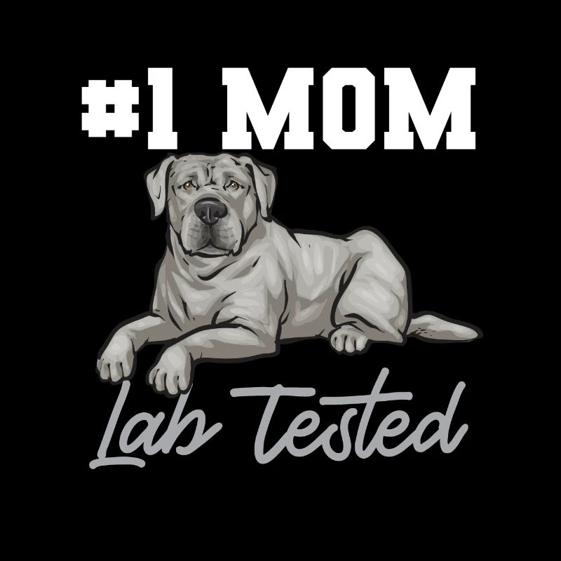 Silver Labrador Retriever Silver Lab