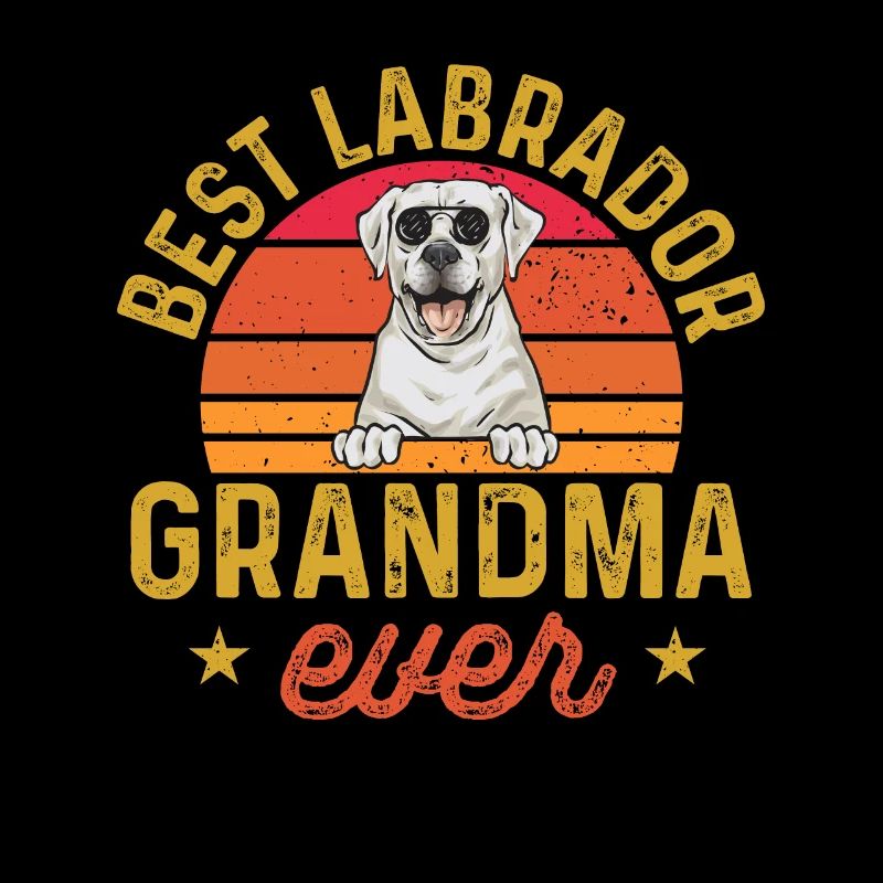 Labrador Retriever blanc Labrador Labrador blanc