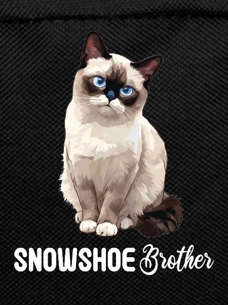 Snowshoe Kitten Snowshoe Cat