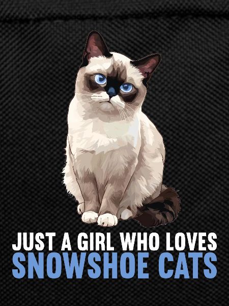 Snowshoe Kitten Snowshoe Cat