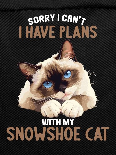 Snowshoe Kitten Snowshoe Cat