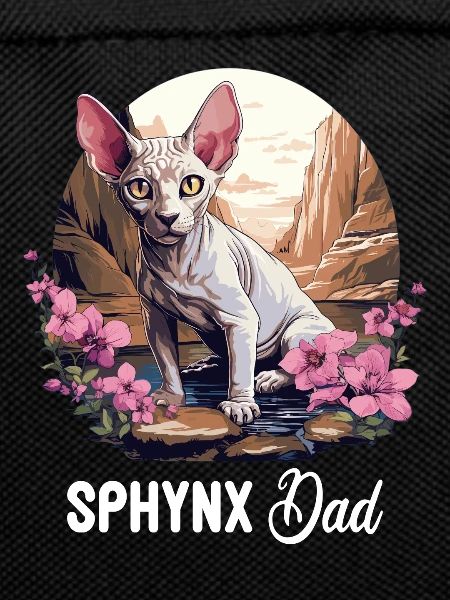 Sphynx Kitten Sphynx Cat