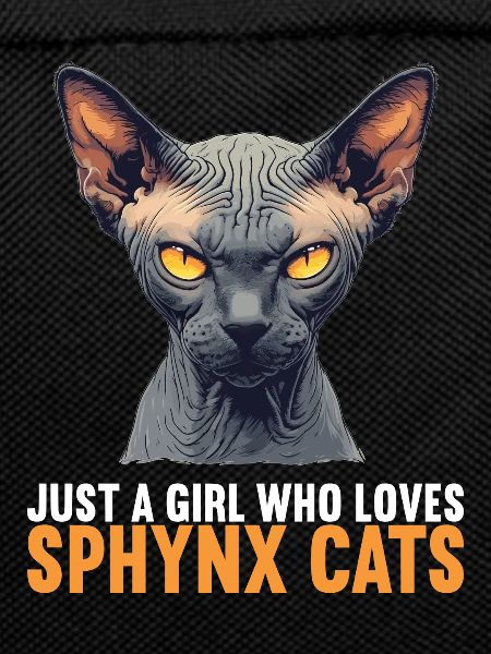 Sphynx Kitten Sphynx Cat