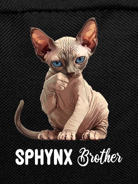 Sphynx Kitten Sphynx Cat